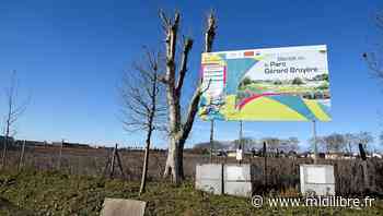 Hérault : le projet de parc multiglisse de Baillargues semble émerger, 15 ans après ? - Midi Libre