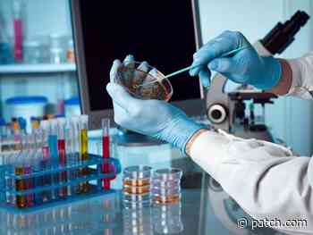 CT Coronavirus Positivity Rate In Flux As Experts Speculate Why - Patch.com