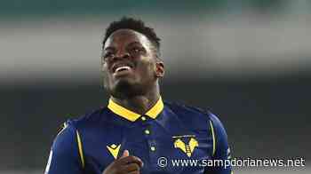 Hellas, Vieira ancora fermo ai box. Serve tempo per rientro - Sampdoria News