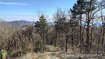 Boschi di San Fermo, scambio di droga attorno al fuoco. Due arresti - Espansione TV