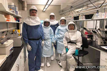 Saskatoon's VIDO-InterVac fundraising to become Canada's Centre for Pandemic Research - CKOM News Talk Sports