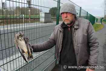 Roofvogels vliegen te pletter tegen nieuwe spoorafsluiting: “De vogels zien misschien wel de palen, maar de draad duidelijk niet”