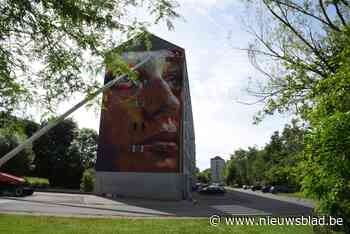 Kunstproject ViewMasters krijgt tweede editie en daarvoor zo... (Dendermonde) - Het Nieuwsblad