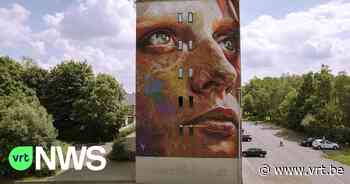 Dendermonde zoekt kunstenaars om basketbalpleintje aan te pakken: "Er zijn weinig limieten" - VRT NWS