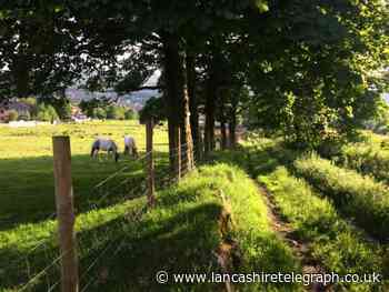 Community asset status won't save land in Darwen from developers, as fight to protect Bailey's Field wages on