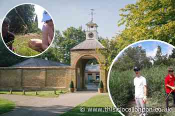 National Trust: Green scheme to boost job prospects in Merton