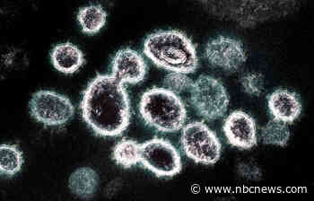 U.K. coronavirus variant is now the dominant strain in the U.S., CDC says