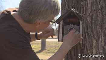 The new escape rooms? Real-life treasure-hunts are dotting the country, if you know where to look