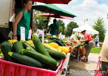 South Side mid-week farmers market to debut in July