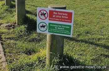 Tendring Council urged to rethink beach ban for horse riders