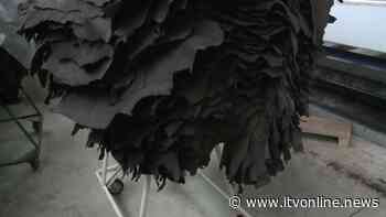 Concia, a fine estate la ripresa ma il futuro di Solofra si gioca sulla proroga degli ammortizzatori: in ballo mille posti di lavoro - Irpinia TV