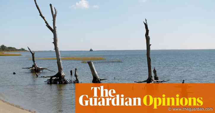 Sea-level rise is creating ‘ghost forests’ on an American coast | Emily Ury
