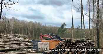 Ausgleich für Globus-Markt in Neunkirchen am ehemaligen Schlammweiher Wiebelskirchen - Saarbrücker Zeitung