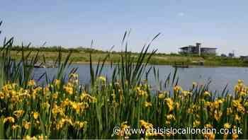 Funds raised for Greenwich Ecology Park after break-in