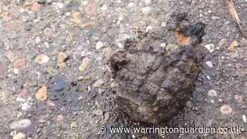 Bomb disposal unit called after hand grenade found by fisherman in canal