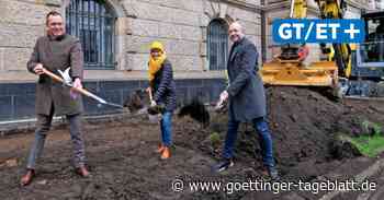 Insektenschutz: Stadt pflanzt Blühstreifen vor dem Neuen Rathaus