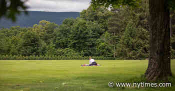 Tanglewood Is Back This Summer, With Beethoven and Yo-Yo Ma