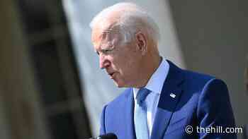 Biden calls for ban on assault weapons, high-capacity magazines