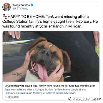 Dog that saved family from burning home reunited after running away for 2 months