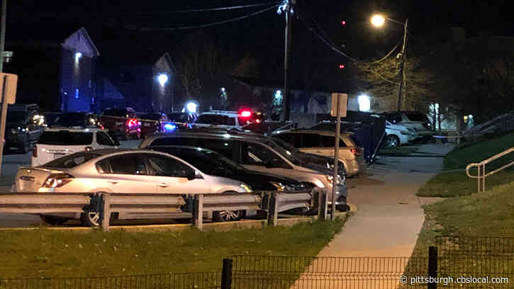 Man Dies After Being Shot In The Head In Northview Heights