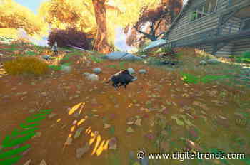 Fortnite challenge guide: Shockwave wildlife using a shockwave grenade or bow