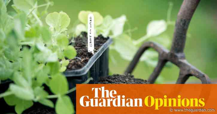 The Guardian view on peat: keep it in the ground | Editorial
