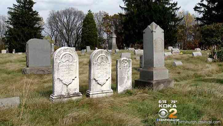 Police Probe Reports Of Monkeys On Loose In Ohio Cemetery