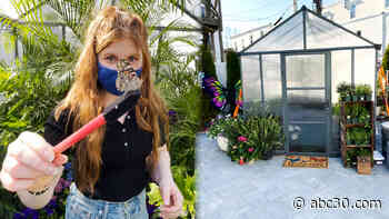 Small businesses come together to bring butterfly immersive experience for the community