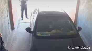 Ottawa police investigating video of members saying 'white man's day is done'