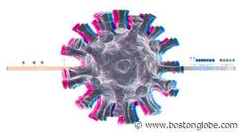 The coronavirus variants are spreading in Mass. How worried should you be? These charts offer clues - The Boston Globe
