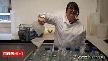 Down's syndrome: 'Having a job makes me feel safe'