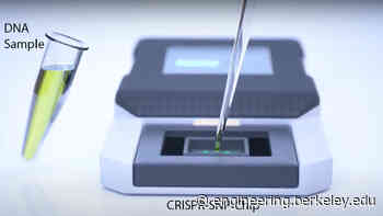 CRISPR-Chip advance streamlines genetic testing for medical diagnostics and research - UC Berkeley