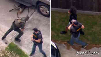K9 officer tracks down chase suspect hiding under vehicle in southwest Houston - KTRK-TV