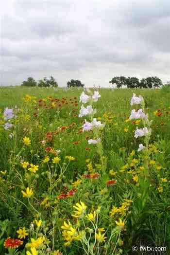 City Looks to Conserve Natural Areas Through Open Space Program - Fort Worth Magazine