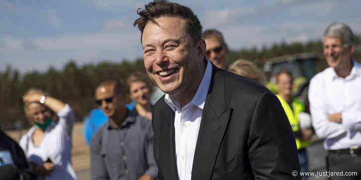 Elon Musk's Company Co-Founder Says They Could Build a Real-Life Jurassic Park 'If We Wanted To'