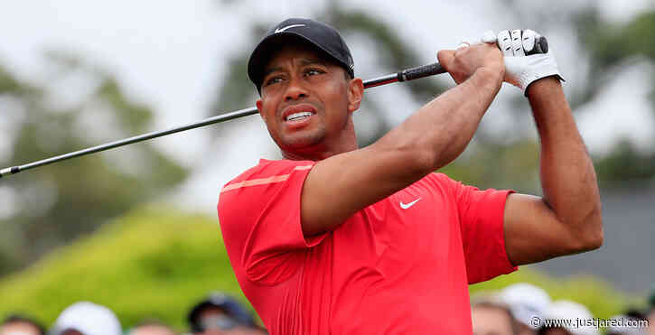 Tiger Woods' Injuries Spelled Out in Car Crash Report