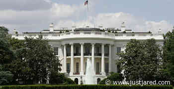 These 5 Celebrities Have Best Chance of Becoming President, Poll Reveals!