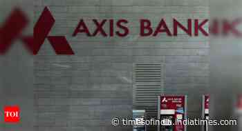 Axis Bank as promoter brings stability: Max Life