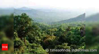 Centre looks for consulting agencies to bring amendments to colonial era forest law, seeks private partic - Times of India
