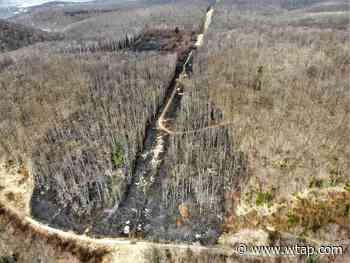West Virginia officials seek info about Coopers Rock State Forest fire - WTAP-TV