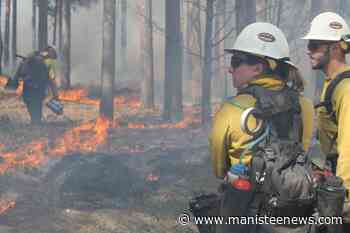 Prescribed burns on the horizon for Manistee National Forest - Manistee News Advocate