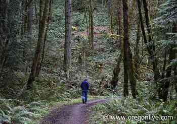 Forest Park’s northern trails offer a quieter park experience - OregonLive