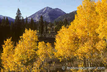 Opinion: Forest Service under Biden halts Trump's doomsday plans for Targhee - Missoula Current