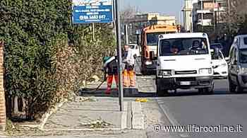 Raccolta dei rifiuti e pulizia delle strade: Ardea cambia volto grazie agli operatori ecologici - IlFaroOnline.it