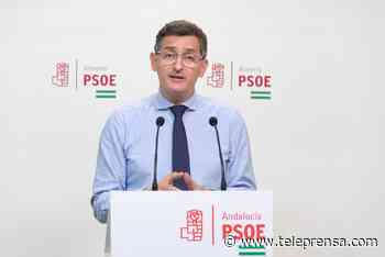 Teruel (PSOE) rechaza dedicar "ni un segundo" a las primarias andaluzas: "Queda demasiado tiempo para eso" - Teleprensa periódico digital