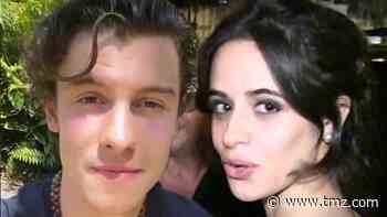 Shawn Mendes & Camila Cabello Break-In Suspect Arrested for Car Theft, Burglary