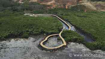 'We've had to fight Goliath': Chinese resort company brought to task for environmental damage in Fiji