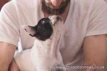 INTERNATIONAL PETS DAY: Send us your photographs of your prize pooch or cute cats