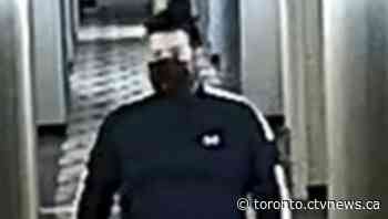 Toronto cop charged after allegedly soliciting sex worker, showing her a gun - CTV Toronto