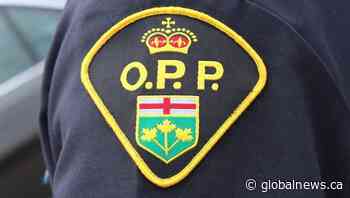 Toronto man dies following motorcycle crash in Minden Hills Township: OPP - Global News